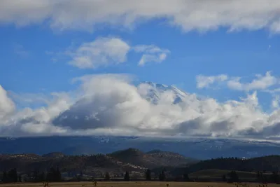 DSC_5883 (Large).JPG